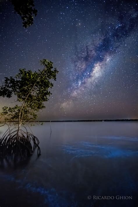 Photographer Captures The Milky Way And Bioluminescence Together In
