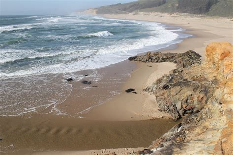 Northern California State Beaches Restrict Access For July 4 Bay Nature