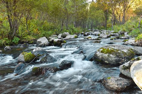 Fast Flowing River Free Stock Photo Public Domain Pictures