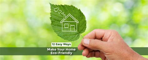 Make Your Home Eco Friendly In 12 Easy Ways