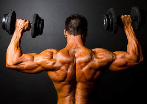 Muscular Strength Definition Of Muscular Strength