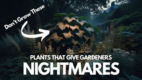 8 Plants That Give Gardeners Nightmares Youtube