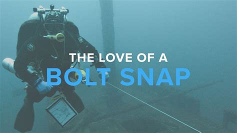 the love of bolt snaps deep dive youtube