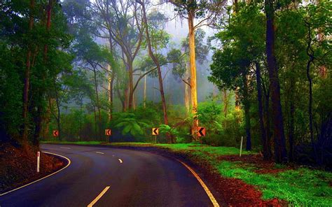 Hd Wallpaper City Road Turning Left Surrounded With Green Trees A