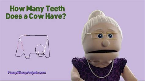 Facts About Cow Teeth