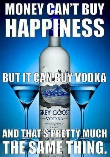 Pin By Vanity Tyme On F A S Vodka Vodka Humor Alcohol Quotes Funny