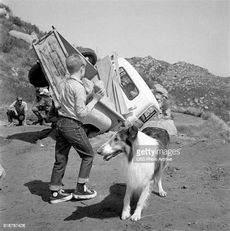 Jon Provost With Lassie In The Cbs Television Show Lassie Episode