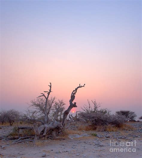 Barren Landscape In Rocky Field Photograph By Johan Swanepoel Pixels