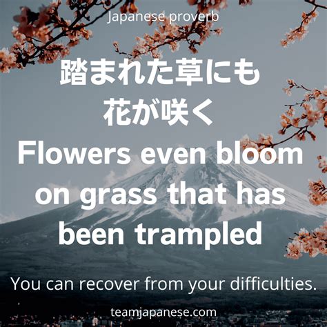27 Beautiful And Inspirational Japanese Quotes 2023