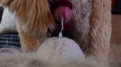 Pov Fursuit Muzzle Fuck And Cumshot Xxx Mobile Porno Videos And Movies Iporntvnet