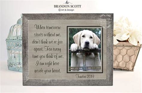 Pet loss sympathy gift suggestions for loss of dog, cat or horse. 21 Unique Sympathy Gifts to Show Love and Support - All ...