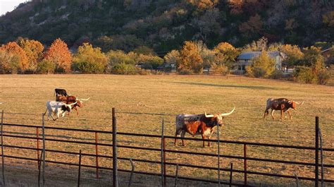 The Most Famous Ranches In Texas