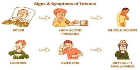 Tetanus Causes Symptom And Complications Assignment Point