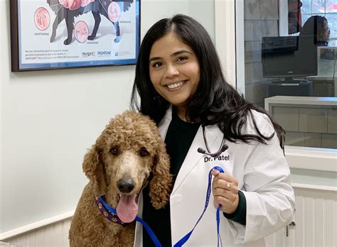 Cape coral pet vet is located in cape coral city of florida state. Savannah Animal Hospital welcomes new vet Dr. Dhara Patel ...