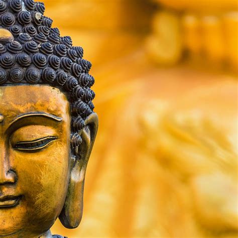 Å 25 Vanlige Fakta Om Buddha Wallpapers Download Buddha Wallpapers