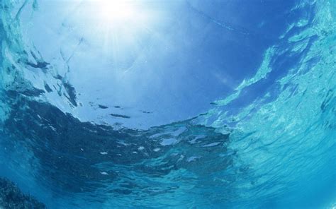 Underwater Backgrounds Free Download Pixelstalknet