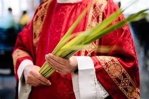 Why Do We Receive Palms On Palm Sunday Get Fed