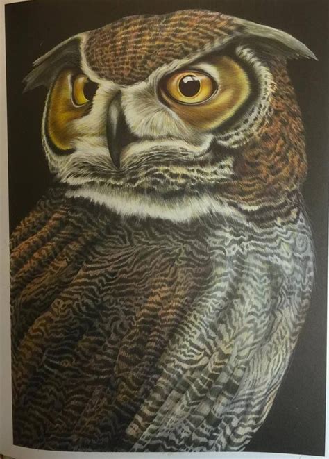 How to draw a bull. Great Horned Owl 2 by Carol Leather | Realistic animal drawings, Animal drawings, Adult coloring ...