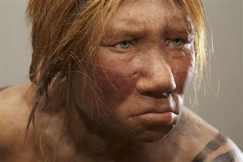 Neanderthal Woman Reconstruction Dna Mixed Race Girls Ancient Humans