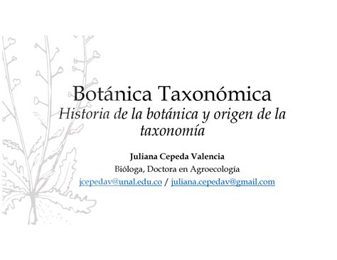 Historia De La Botánica Y Origen De La Taxonomía Botánica Taxonómica