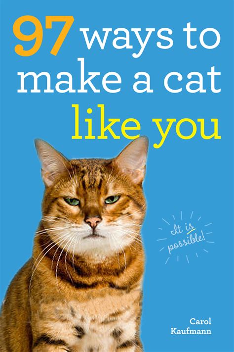 Make sure to rotate the toys. 97 Ways to Make a Cat Like You - Workman Publishing