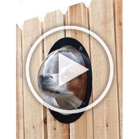 This will be done at the top, middle and bottom of the fence posts. Dog Fence Window Bubble Peek Port Hole Doggie Pet Gate ...