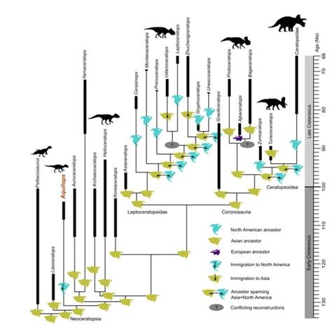 Photos Oldest Known Horned Dinosaur In North America Live Science