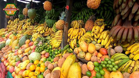 Managua Nicaragua Las Mejores Frutas En Carretera El Crucero Youtube
