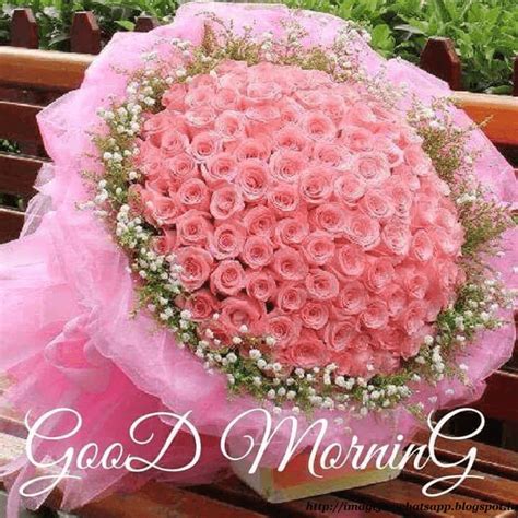 Good morning, my dear friend. Image for Whatsapp - Image for WhatsApp: Good Morning with Flower Bookey to Friends on Whatsapp