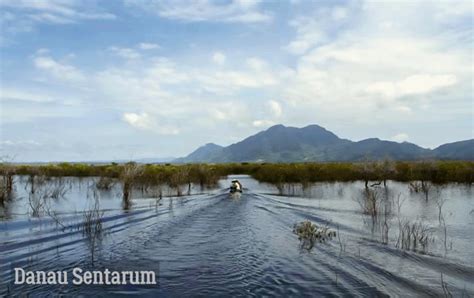 Seperti biasa sy mancing di danau saguling,masih dilapak yg. Danau Sentarum Danau Musiman Terbesar di Kalimantan Barat - duaistanto Journey