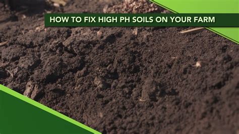 How To Fix High Ph Soils On Your Farm From Ag Phd Show 1115 Air