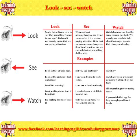 Look See Watch Explained Using Pictures With Examples Learn
