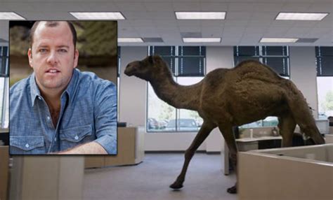 Whos The Voice Of The Camel In The Geico ‘hump Day Commercial American Profile