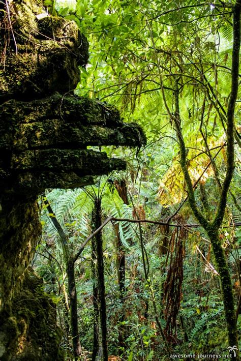 Waitomo Cave Tubing Neuseeland Reisebericht Von Awesome Journeys