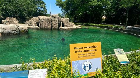 What To Know About The Bronx Zoos Reopening Plans