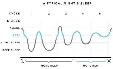 Sleep Cycles Nrem And Rem Sleep Cycles Explained