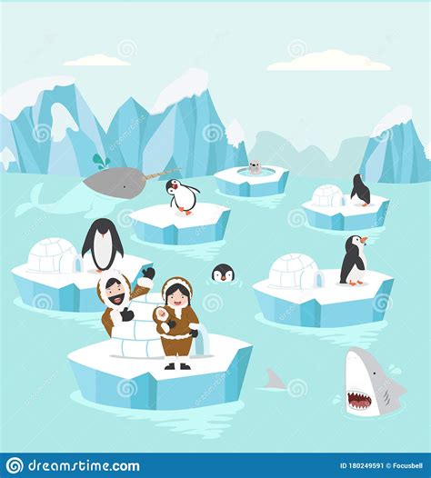 Animals In North Pole Arctic Set Background Stock Vector