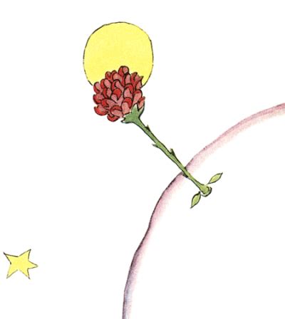 Der kleine prinz, französisches poster le petit prince, französisches zitat poster, wandkunst zuhause, motivierender spruch, kinderzimmer dekor, klassisches buch. Der kleine Prinz - Kapitel 8 - Text online lesen: Die Rose