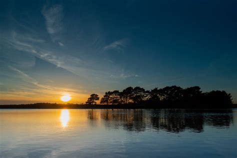 New Forest National Park Stock Photos Pictures And Royalty Free Images