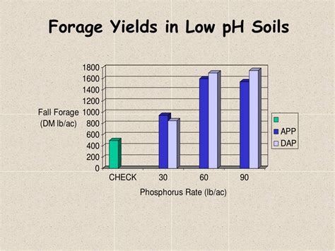 Ppt Small Grains Forage Management Powerpoint Presentation Free