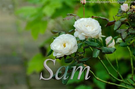 Sam Name Wallpapers Sam ~ Name Wallpaper Urdu Name Meaning Name Images