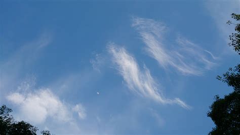 Fileblue Sky With Wispy Clouds Wikimedia Commons