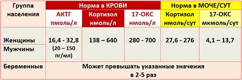 Как убрать кортизоловый живот у женщины до 30