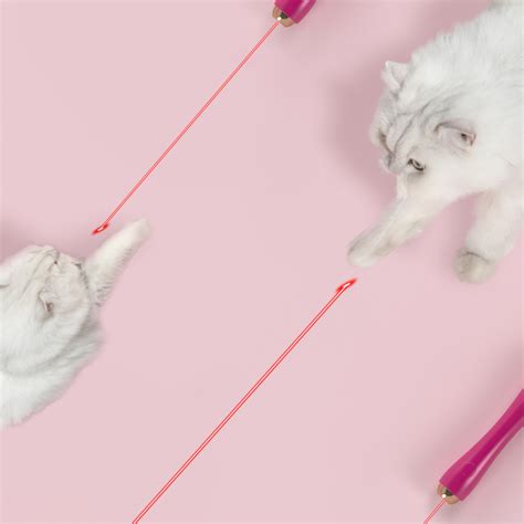 Wander Cat Customizable Extendable 10 In 1 Attachment Laser Cat