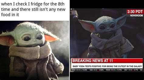 Viral News Funny Baby Yoda Memes And Jokes From Quarantine Snacks To