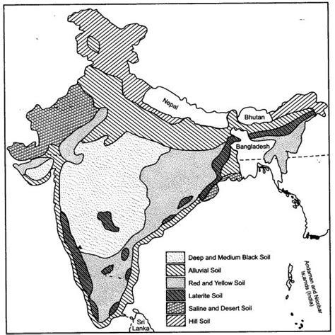 Soils In India Soils India Icse Solutions