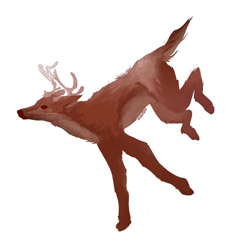Deer Anatomy By Twistedfans On Deviantart