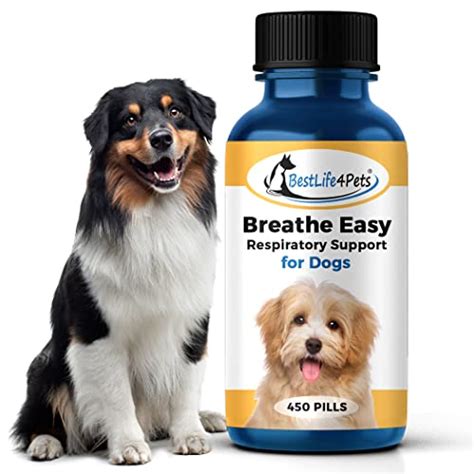 10 Best Medicine For Collapsed Trachea In Dogs Review And Buying