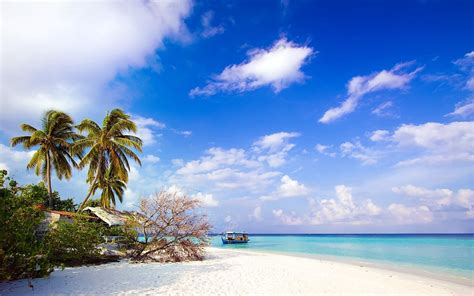 Even the fairy screensavers are covered as much as on the beach. 2560x1600 free screensaver wallpapers for tropical ...