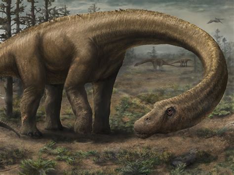 Jurassic Park New Dinosaur Discoveries